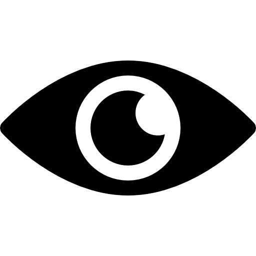 Toggle Password